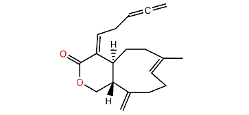 Acalycixeniolide C